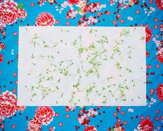 Tissue 4